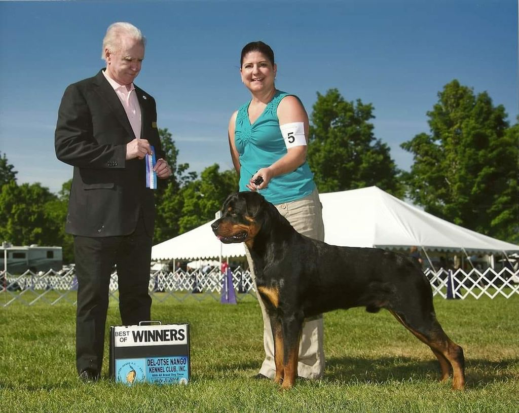 Rottweiler - The Breed Archive