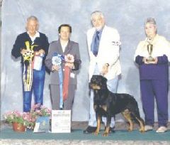 Rottweiler - The Breed Archive