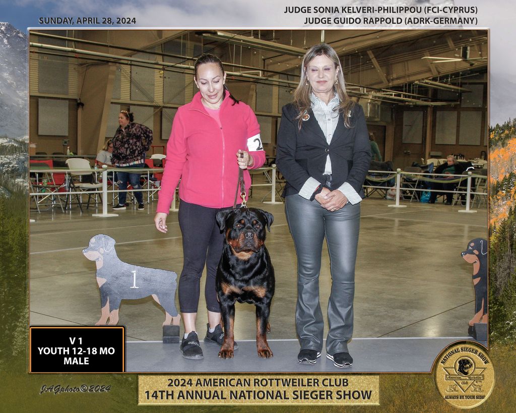 Rottweiler - The Breed Archive