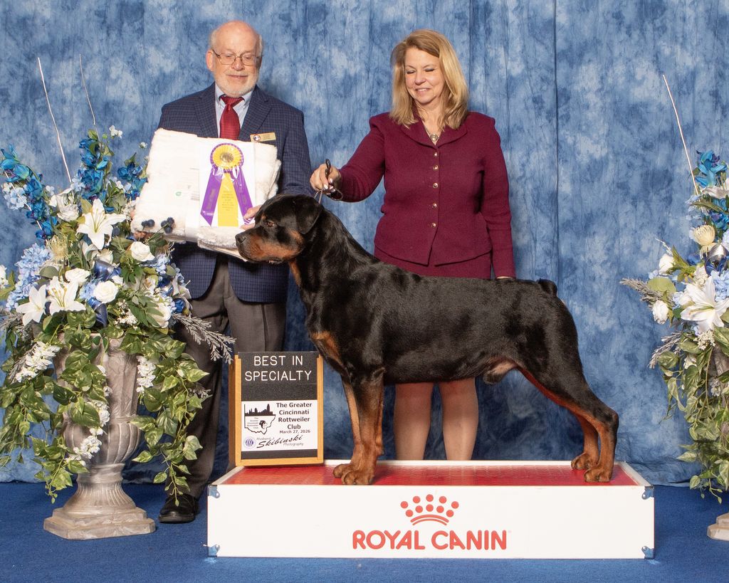 Rottweiler - The Breed Archive