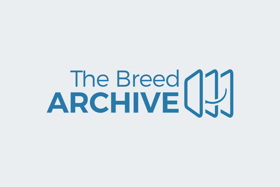 rottweiler-the-breed-archive